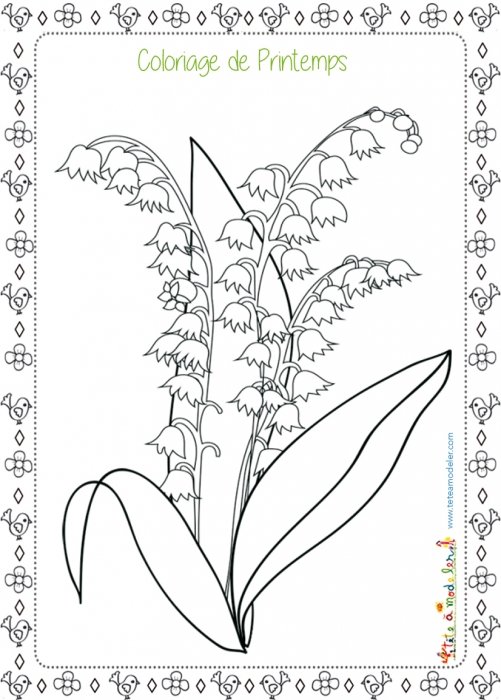 Coloriage de muguet du printemps