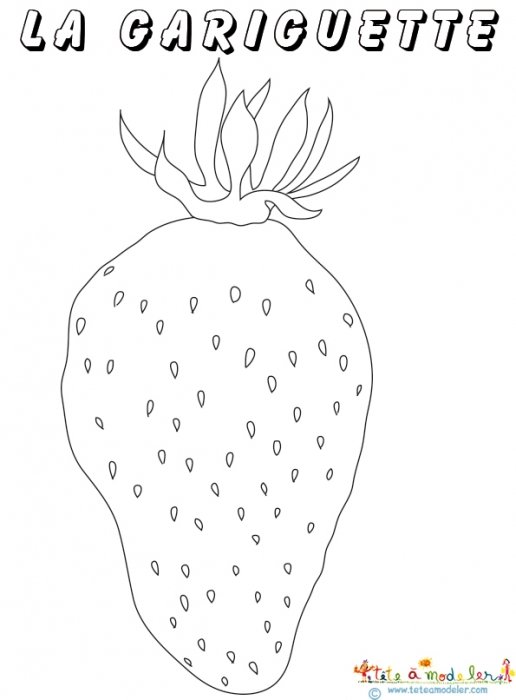 Coloriage fraise Gariguette