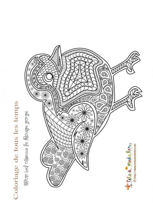 Coloriage : mon bel oiseau le rouge gorge