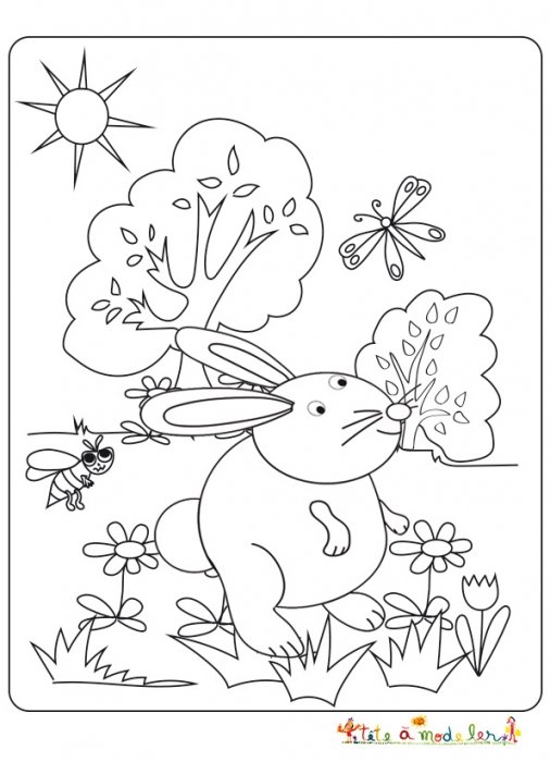 Lapin dans le jardin à colorier