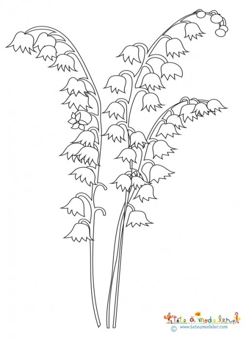3 brins de muguet sans feuille