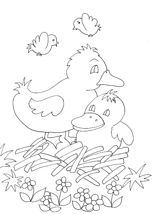 Coloriages b&eacute;b&eacute;s canards
