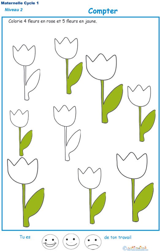 Imprimer l'exercice 2 pour colorier le bon nombre de fleurs en suivant le code couleur de la consigne MS
