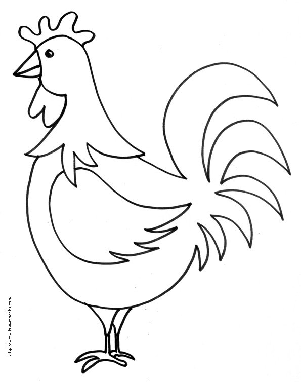 coq
