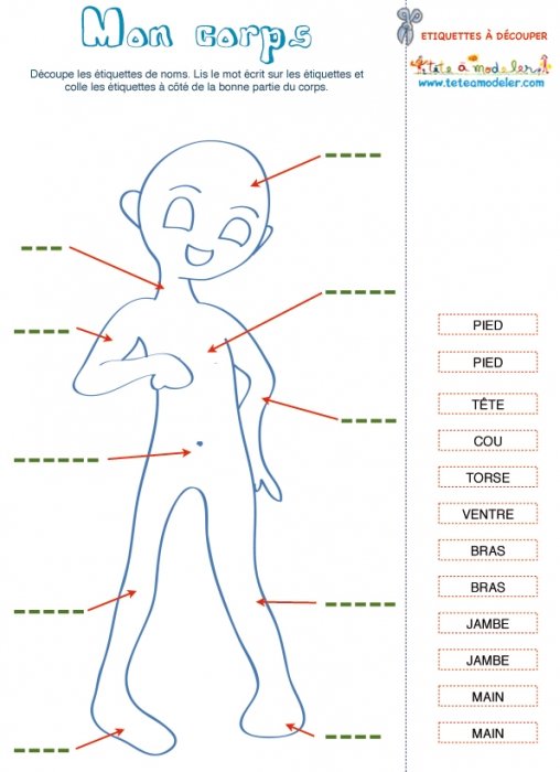 Une Activité de vocabulaire du corps