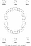 Imprimer l'activit&eacute; pour apprendre &agrave; reconna&icirc;tre les dents

