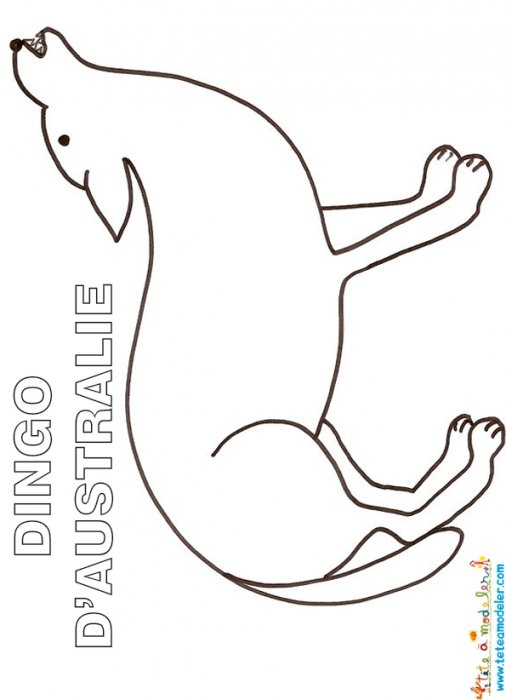Coloriage dingo d'Australie