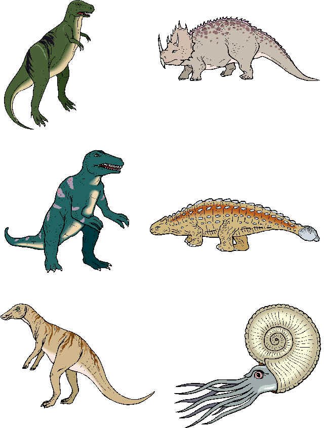 memory dinosaures visuels 1
