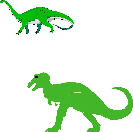 memory dinosaures visuel 11
