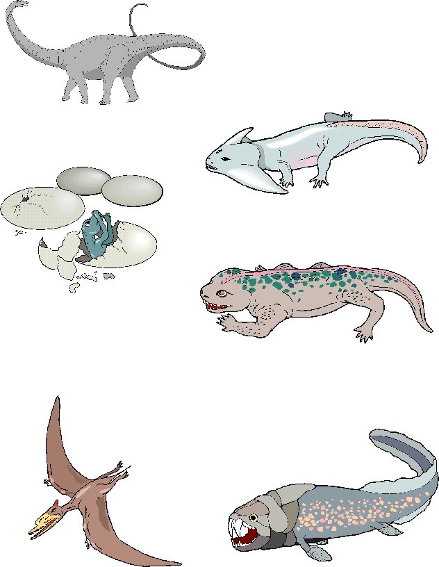 memory dinosaures visuel 12
