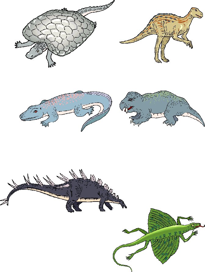 memory dinosaures visuel 14
