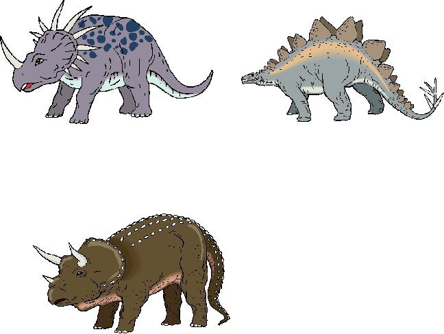 memory dinosaures visuel 16
