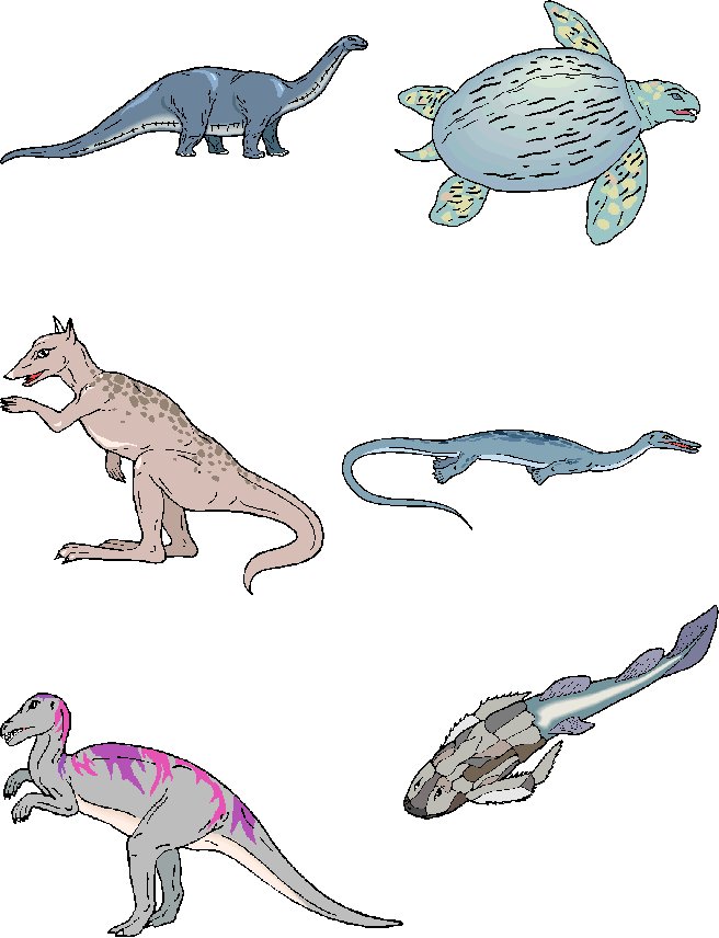 memory dinosaures 4
