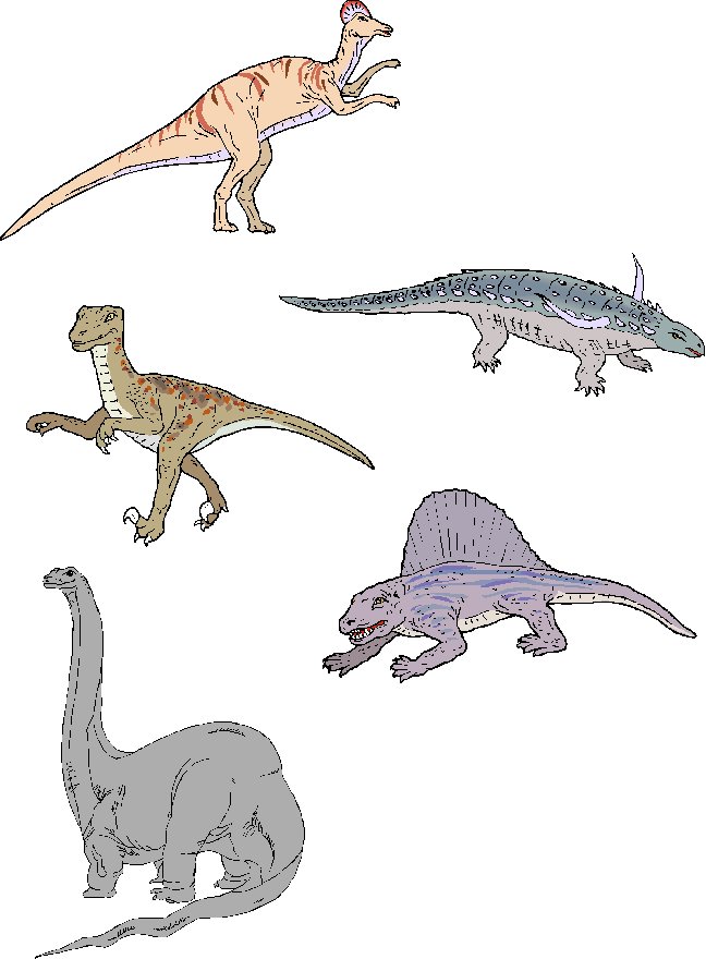 memory dinosaures visuel 6
