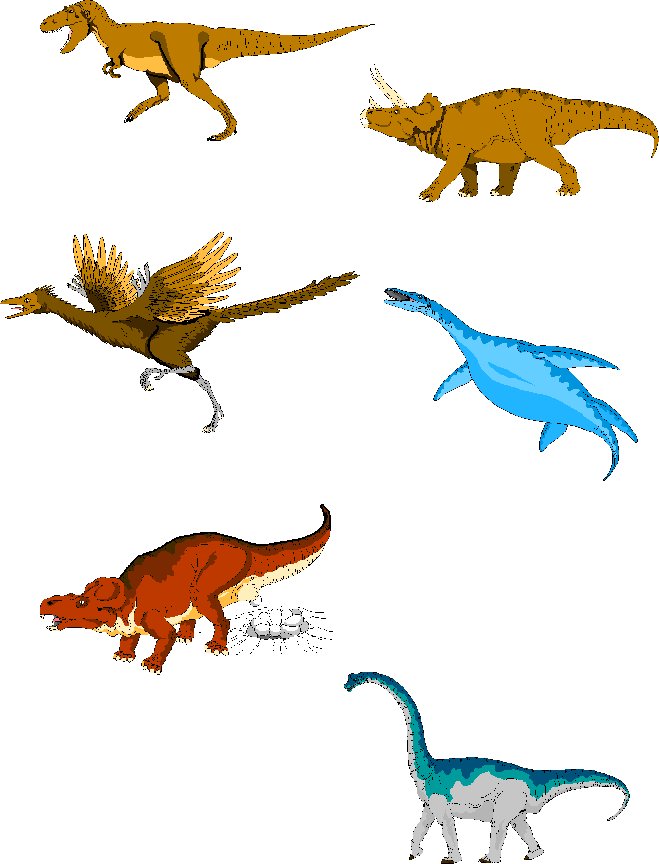 memory dinosaures visuel 10
