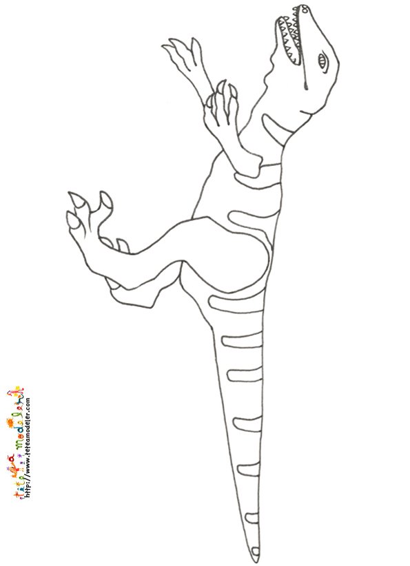 Coloriage velociraptor