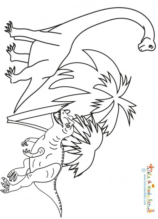Dinosaures à colorier