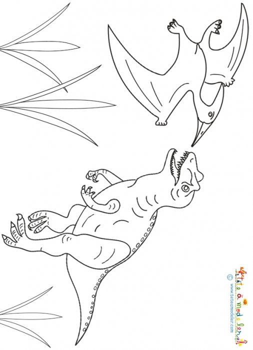Coloriage ptérodactyle et allosaure