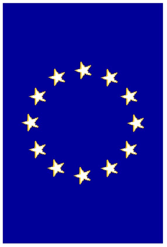 Drapeau de l'union europ&eacute;enne
