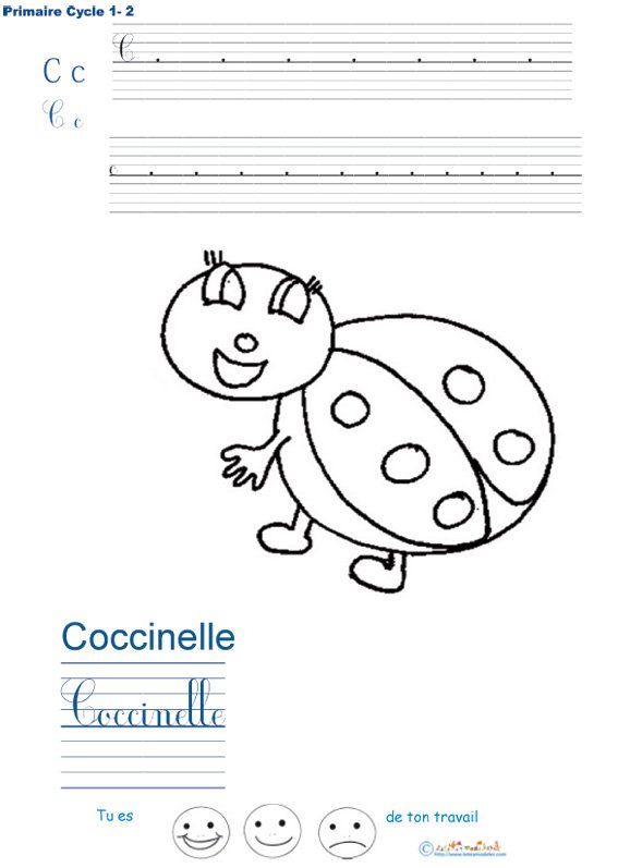 Exercice d'&eacute;criture sur la coccinelle
