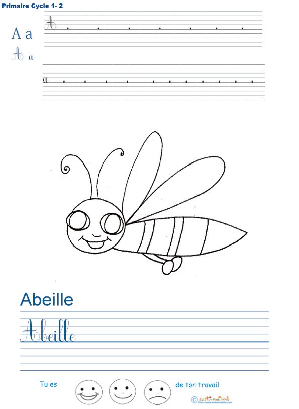 Exercice d'&eacute;criture sur l'abeille
