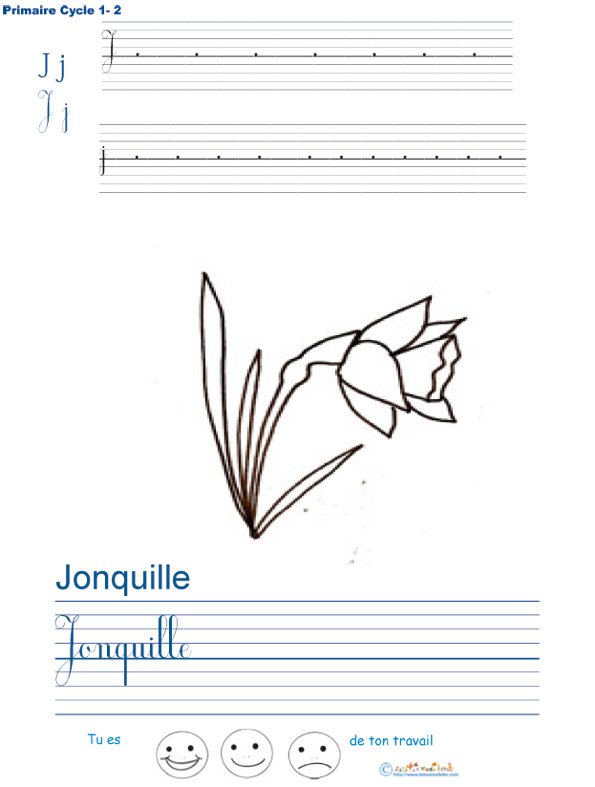 Exercice d'&eacute;criture sur la jonquille
