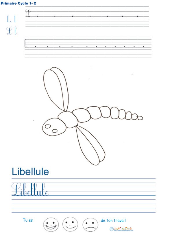 Exercice d'&eacute;criture sur la libellule
