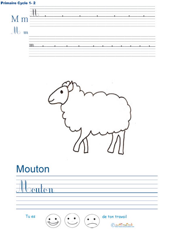 Exercice d'&eacute;criture sur le mouton
