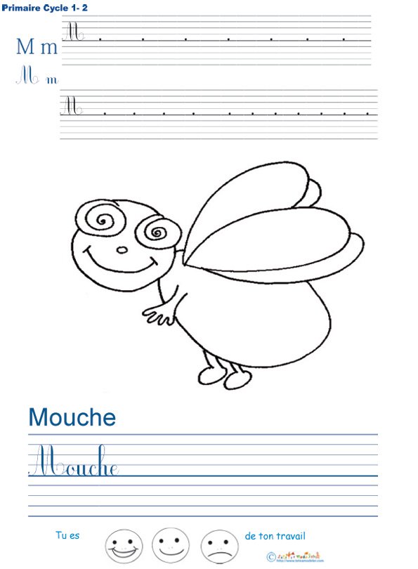 Exercice d'&eacute;criture sur la mouche
