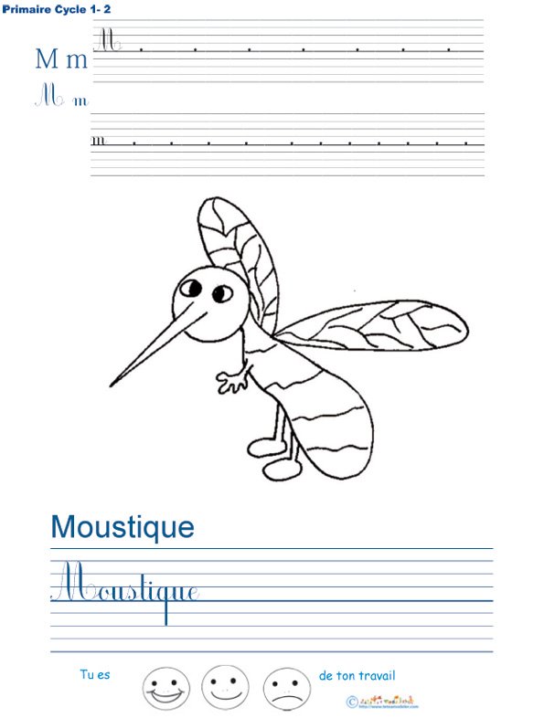 Exercice d'&eacute;criture sur le moustique
