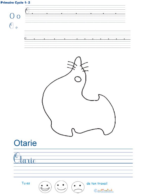 Exercice d'&eacute;criture sur l'otarie
