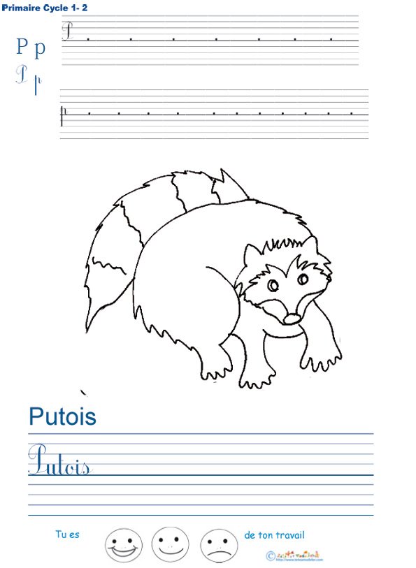 Exercice d'&eacute;criture sur le putois
