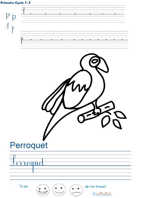 Exercice d'&eacute;criture sur le perroquet
