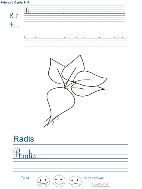 Exercice d'&eacute;criture sur le radis
