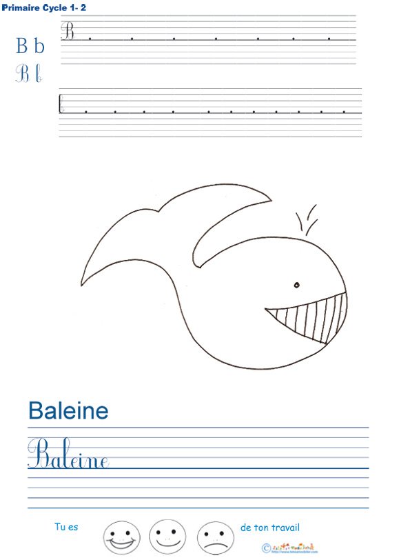 Exercice d'&eacute;criture sur la baleine
