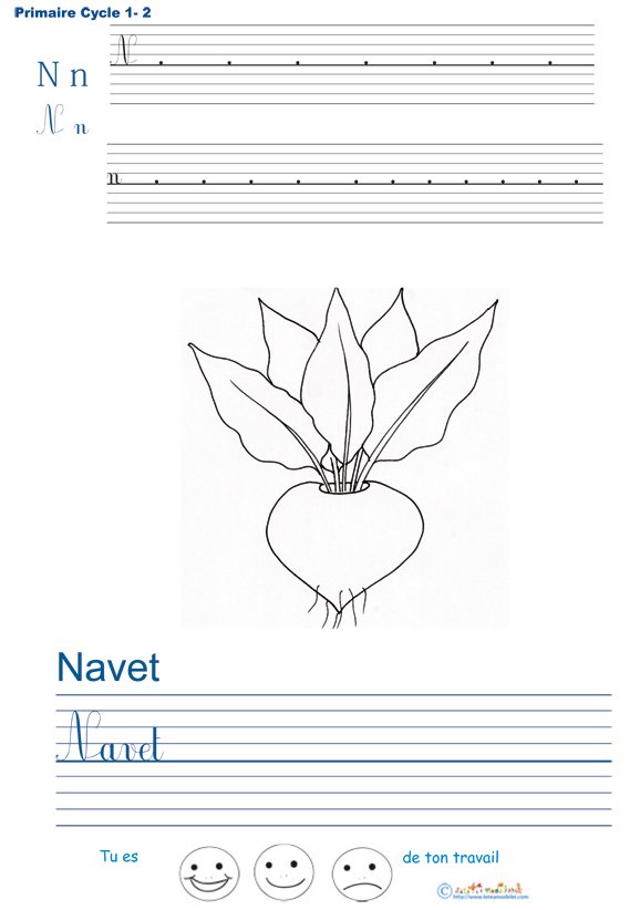Exercice d'&eacute;criture sur le navet
