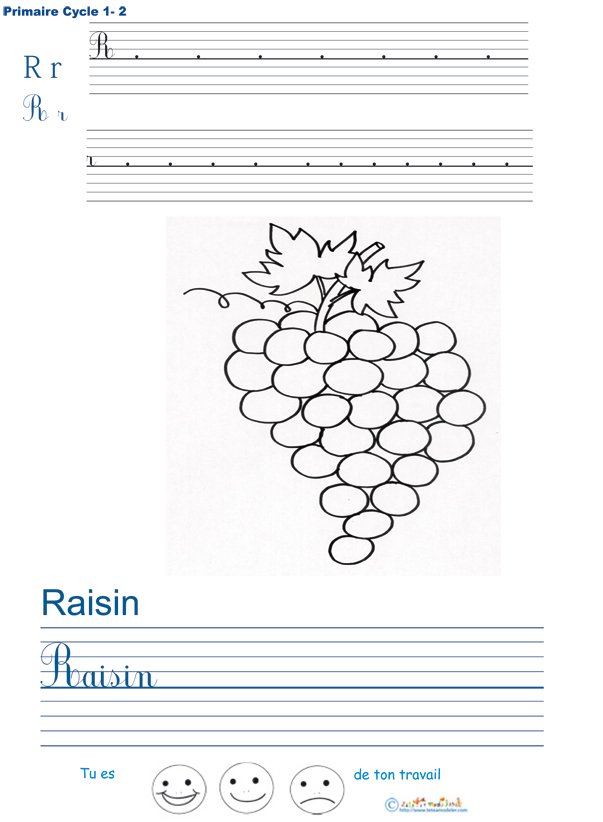 Exercice d'&eacute;criture sur le raisin
