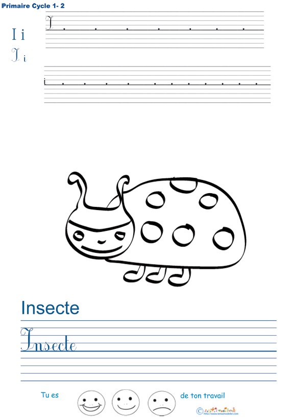 Exercice d'&eacute;criture sur l'insecte
