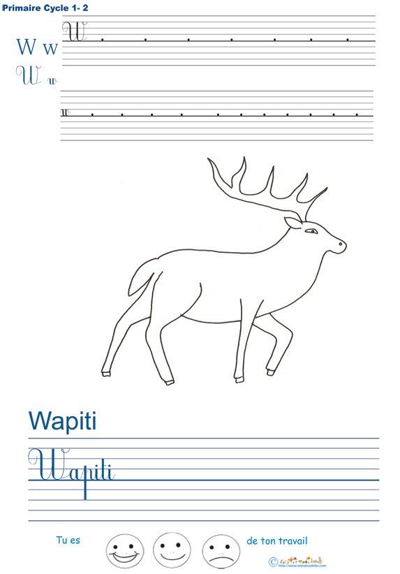Exercice d'&eacute;criture sur le wapiti
