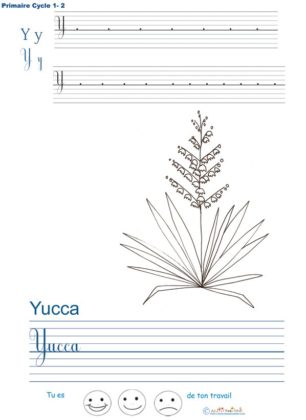 Exercice d'&eacute;criture sur le yucca
