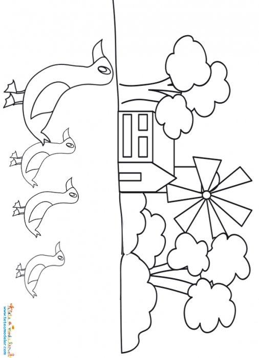Coloriage famille canards