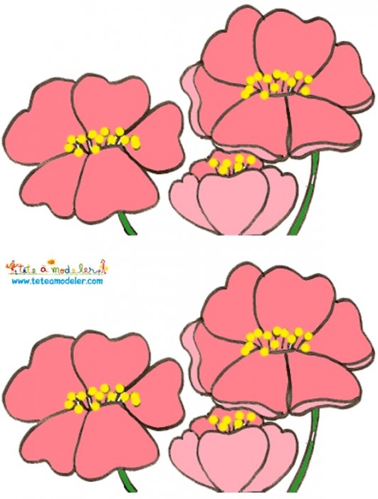 Imprimer les fleurs pour le gâteau de fée