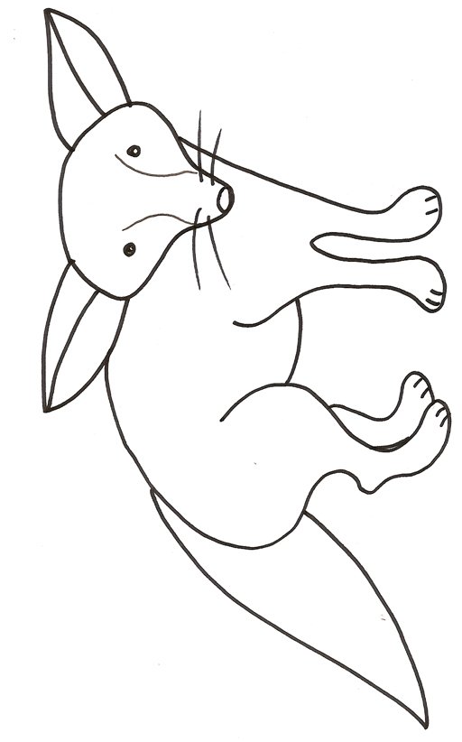 coloriage d'un fennec 
