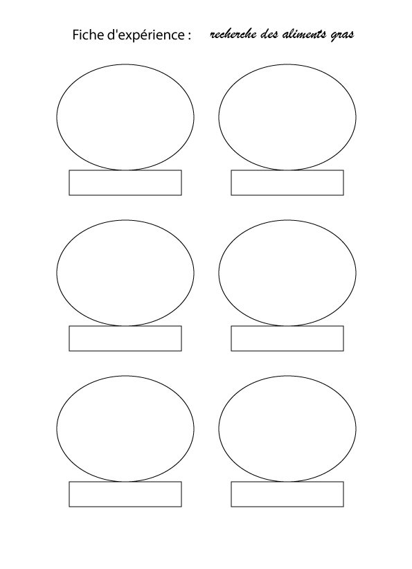 fiche d'exp&eacute;rience
