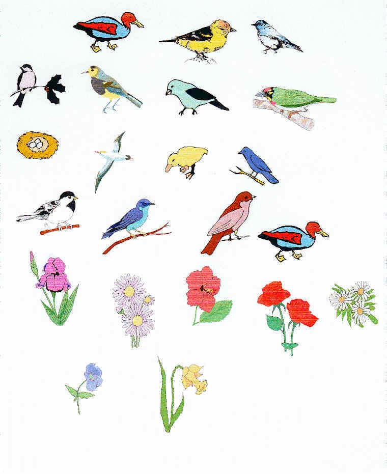 oiseaux &agrave; imprimer
