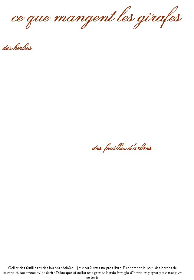 Livre sur la girafe page 4
