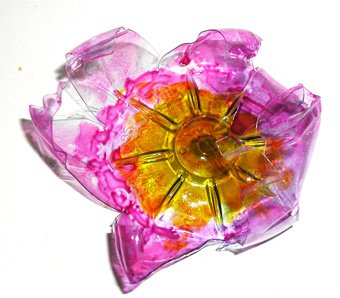 fleur de Venise
