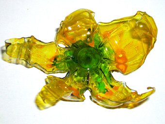 fleur de Venise jaune
