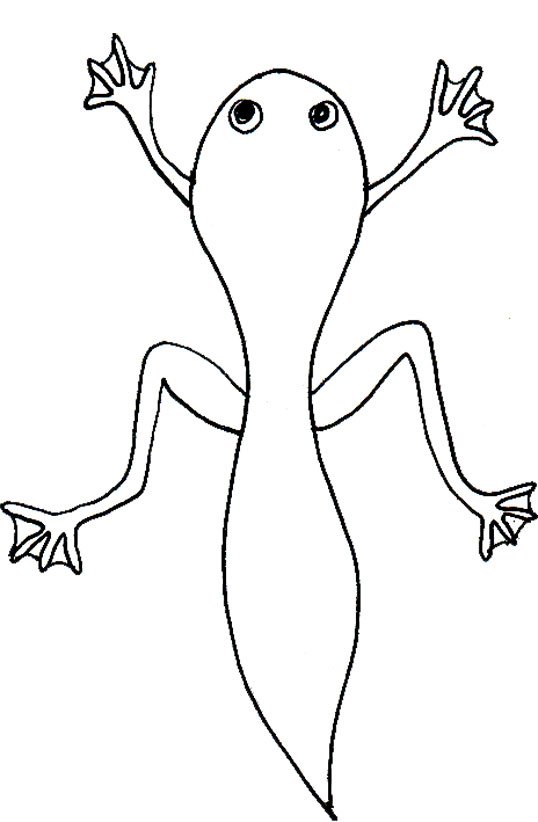 coloriage du t&ecirc;tard &agrave; pattes
