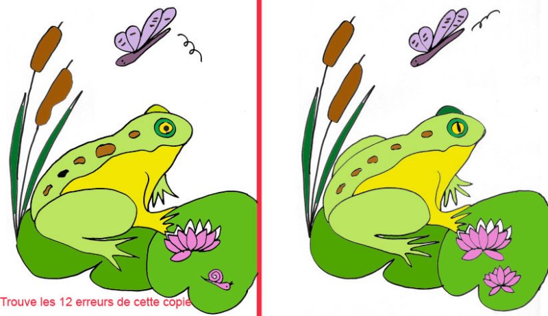 activit&eacute; grenouille - 12 erreurs

